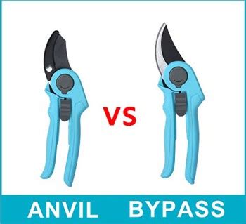 The Difference Between Anvil And Bypass Pruner Knowledge