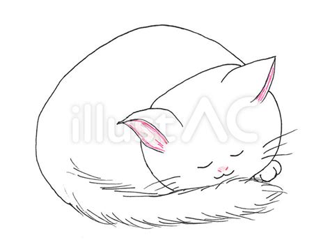 丸まっている猫イラスト No 1170726／無料イラストなら「イラストac」