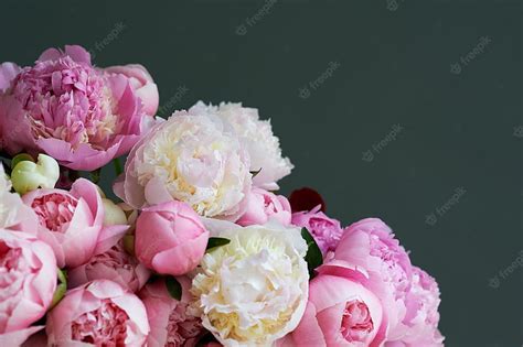 Premium Background With Beautiful White And Pink Flowers Peonies