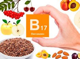Витамин В17 (Б17, амигдалин, лаэтрил), в каких продуктах содержится B17 ...