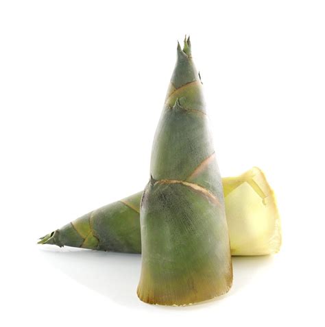 What Are Bamboo Shoots Using Bamboo Shoots As Vegetables Gardening Know How