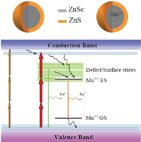 Schematic Diagrams Of Znse Zns Qds And Electronic Structures