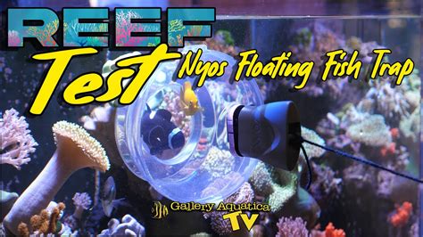 Reef Test Nyos Floating Fish Trap Youtube