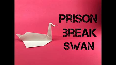 Origami Ku U Yap M How To Make Origami Swan In Prison Break