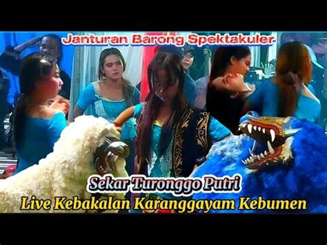 Janturan Barong Spektakuler Sekar Turonggo Putri Ebeg Karangjati Petir