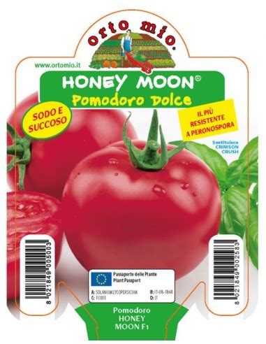 Orto Mio Pianta Alta Qualita Pomodoro Tondo Dolce Honey Moon