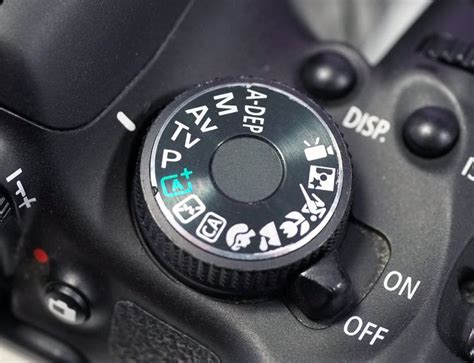 Waitso Many Buttons Your Dslr Camera Explained Dslr Camera Dslr