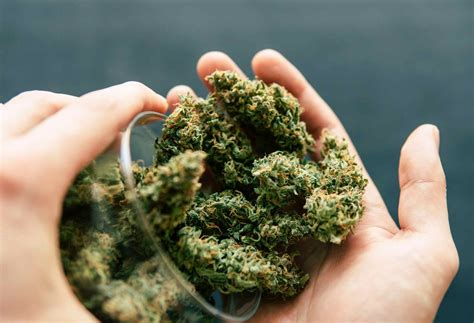 What Are THCA Snowballs? | Herb