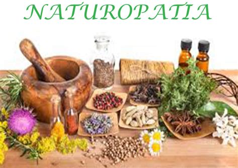 Formación Especialización En Naturopatía Centre Jordi