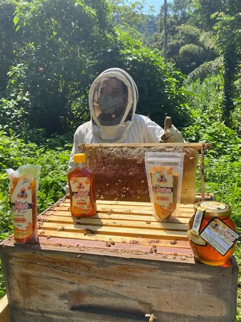 Productos de Miel de Abejas y Polen Apícola Surandino Miel de