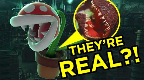 The Truth Behind Super Marios Piranha Plant