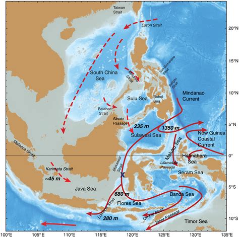 Makassar Strait Throughflow Seasonal And Interannual Variability An Overview Gordon 2019