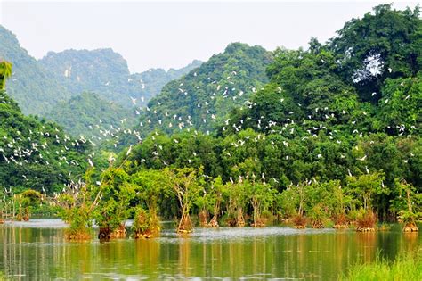 Thung Nham Bird Garden - Ninh Binh Getaway