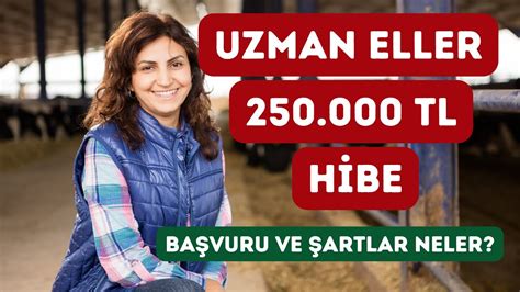 Uzman Eller 250 000 TL Hibe kimler ne zaman nereye nasıl başvuru