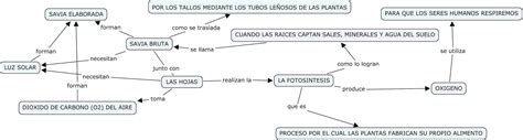 La Fotosintesis Mapa Conceptual Del Proceso The Best Porn Website