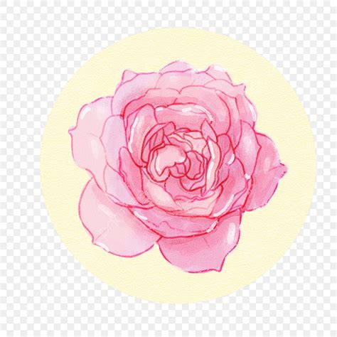 Hand Drawn Elements Png Picture Hand Drawn Watercolor Flower Element