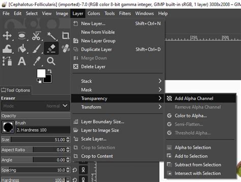 Learn How To Use The Gimp Background Eraser Tool Efficiently