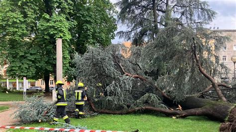 Bozen Mehrere B Ume Umgest Rzt Wehren Im Einsatz Chronik Stol It