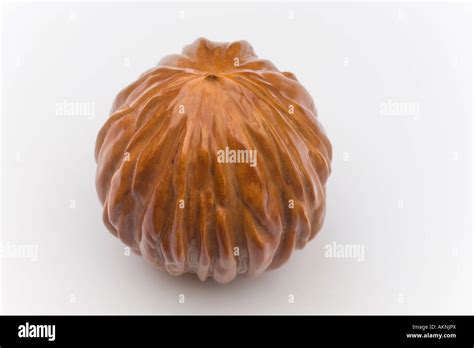 A Macrophotograph Of A Polished Nut Of The Black Walnut