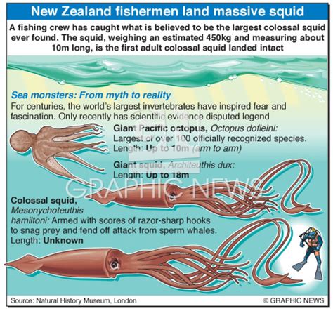 Colossal Squid Vs Giant Squid