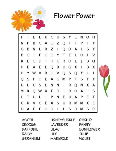 Parts Of A Flower Word Search Printable Word Search Maker