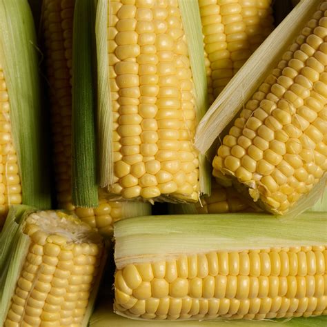 la cabra modern mexican foodshot