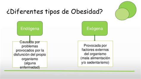 Obesidad Un Problema De Salud Pública