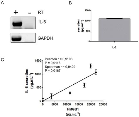 Secreted Hmgb Levels Correlate With Il Secretion In Sw Cells A