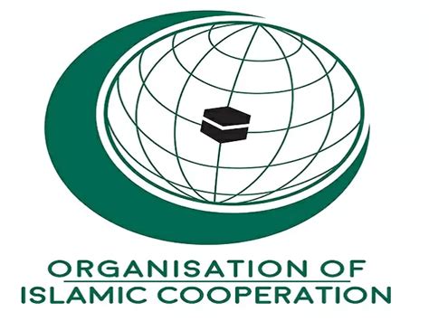 हजबललह चफ हसन नसरललह क मरत ह ईरन न बलई OIC क बठक कय