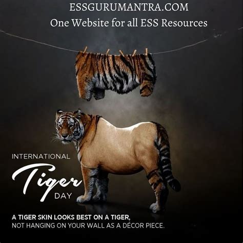 International Tiger Day Tiger Poster Tiger Photography Graphic