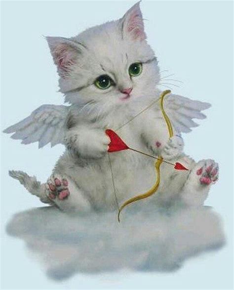 Angel Cat Cute Cats Cats And Kittens Cat Art