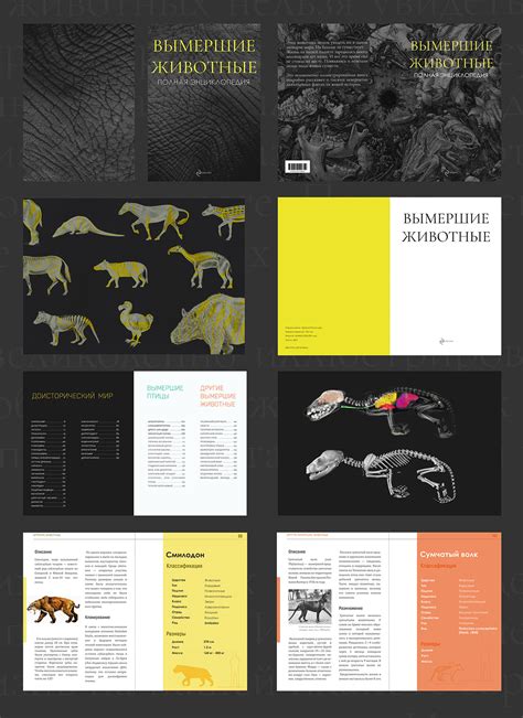 энциклопедия on Behance