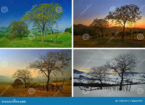 Four Seasons Of Year Royalty-Free Stock Photography | CartoonDealer.com ...