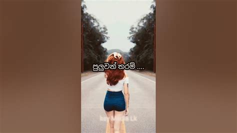 පුලුවන් තරම් මෙහෙම කරන්න 😍😍sinhala Trendingshorts Trending Viral