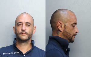 Nieves Nelson Miami Dade County Mugshots Zone