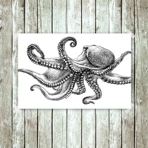 Poster, Octopus, Pen & Ink Drawing, Black/white, Art Print, Giclée Print - Etsy