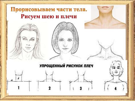 Конструкция головы человека и её основные пропорции - презентация онлайн