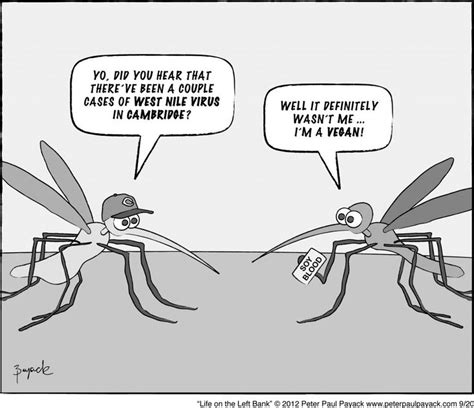 86 Best Silly Mosquito Jokes Images On Pinterest