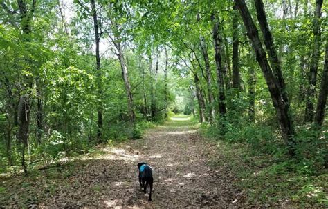 The Washington County (MN) Parks Pass - Is it worth it for dog owners? - Pawsitively Intrepid