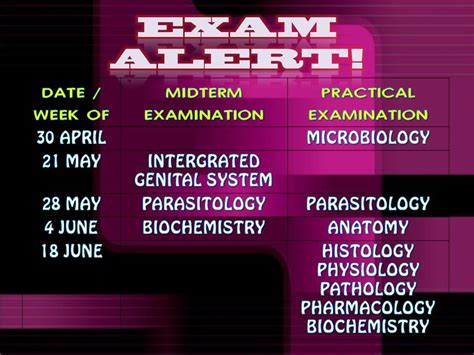 anatomy section updated exam review