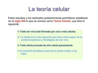 La célula unidad fundamental de vida PPT