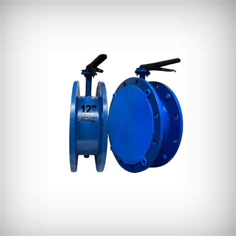 GTV 3301 CS WCB Gate Valve Flanged Gujarat India