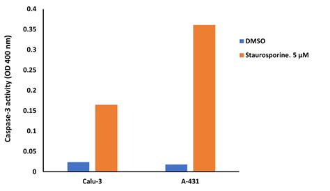 Caspase 3 Colorimetric Assay Kit K106 100 Randd Systems