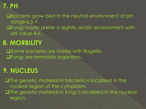 Bacteria Versus Fungi Difference Between Bacteria And Fungi Ppt