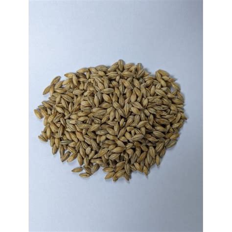 Organic Pilsner Malt Malterie Caux Laflamme Aliments Du Qu Bec