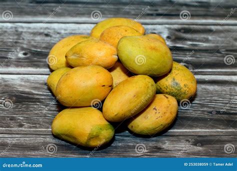 Egyptian Fresh Mango Fruit With Tropical Delicacy Mangoes Are