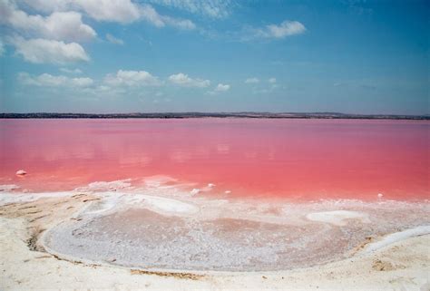 Discover Spains Stunning Pink Lake Laguna Salada De Torrevieja