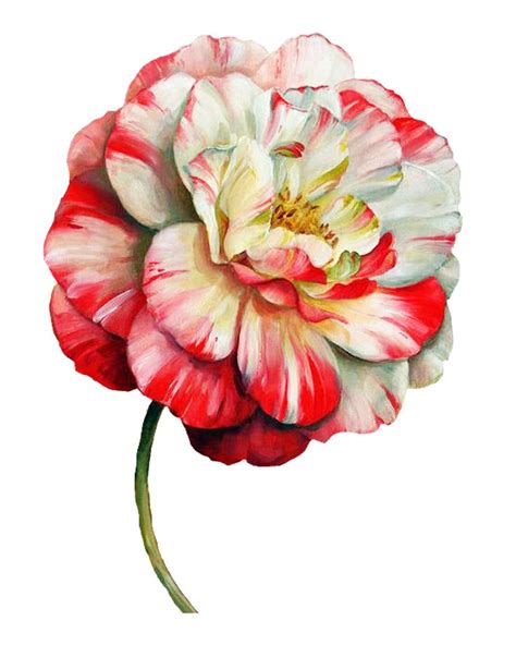 I Ekler Png Clipart Lisa Audit Adet Dekupaj Desenleri Flower