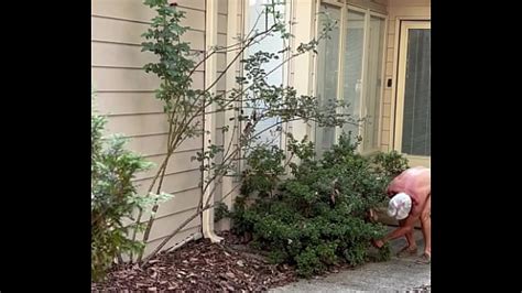 Naked Cartwheel Search XNXX