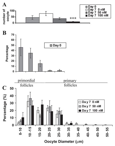 K A Reduces Oocyte Survival In Newborn Mouse Ovaries In Culture But